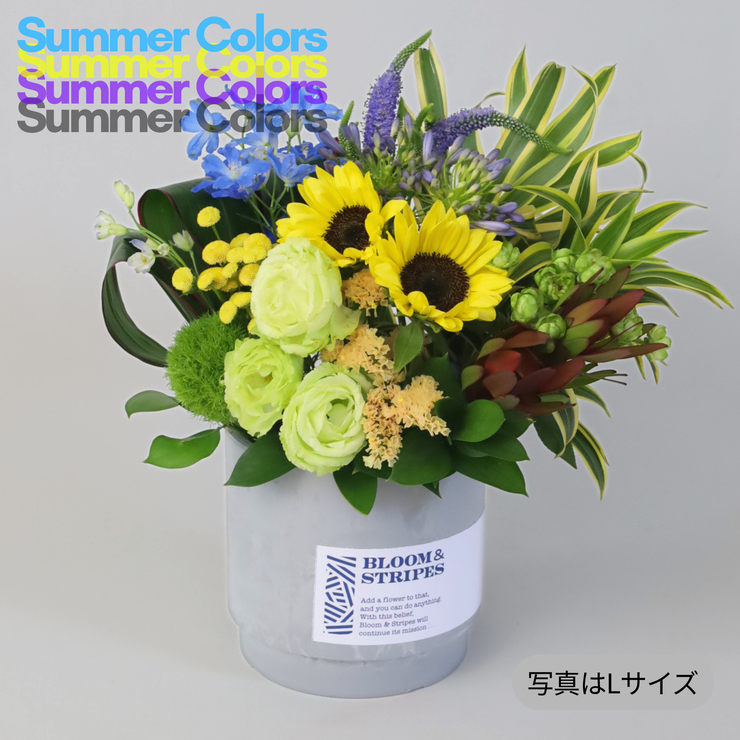 夏 アレンジメント 父の日 お中元｜上品な花ギフトならBLOOM&STRIPES