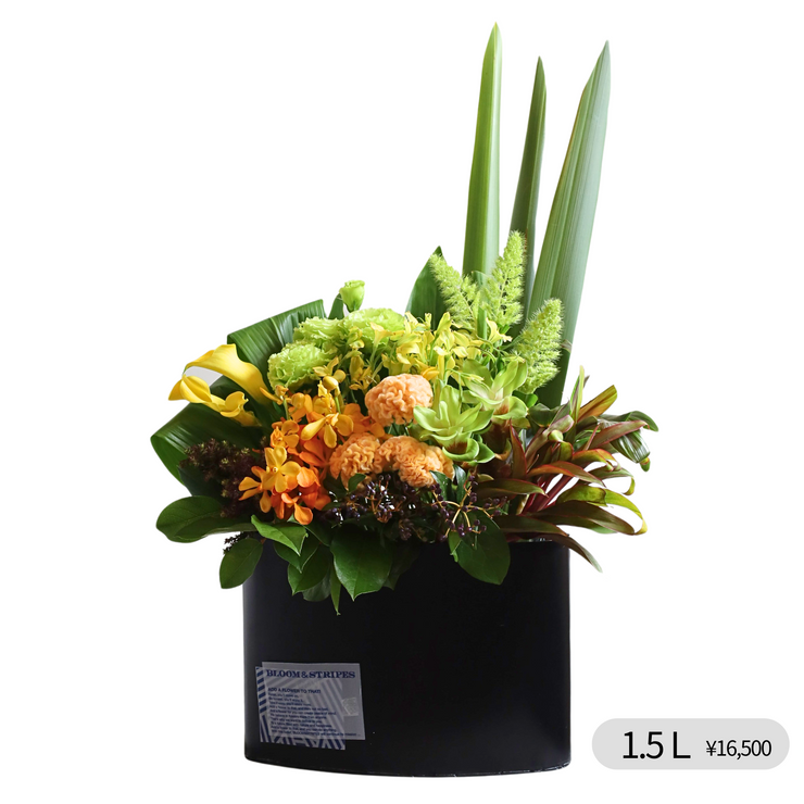 Vertical Arrangement -ORANGE-