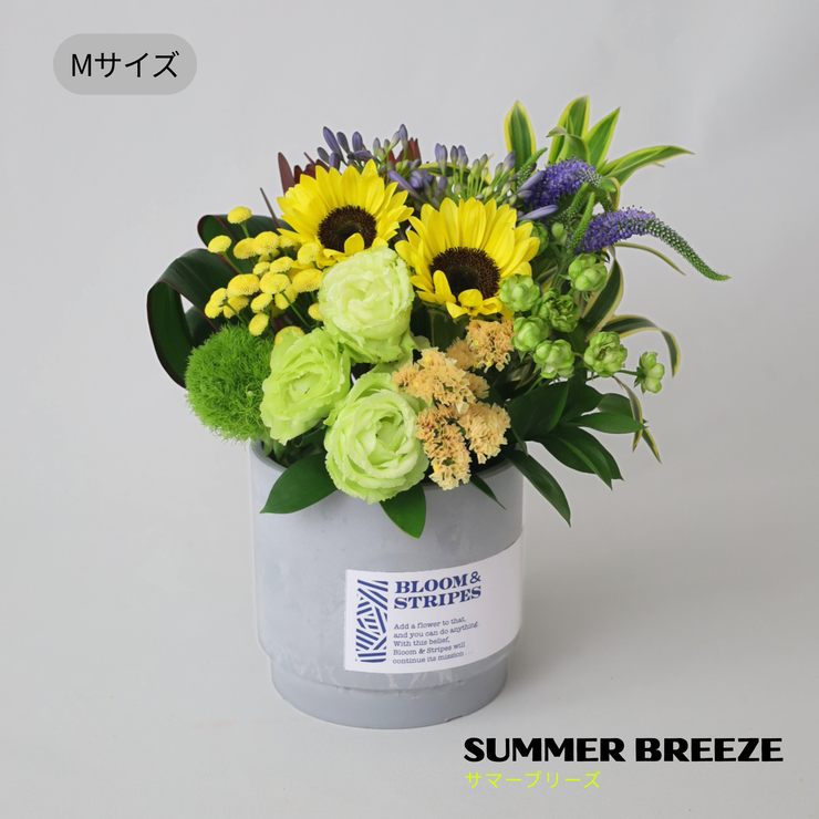 夏 アレンジメント 父の日 お中元｜上品な花ギフトならBLOOM&STRIPES