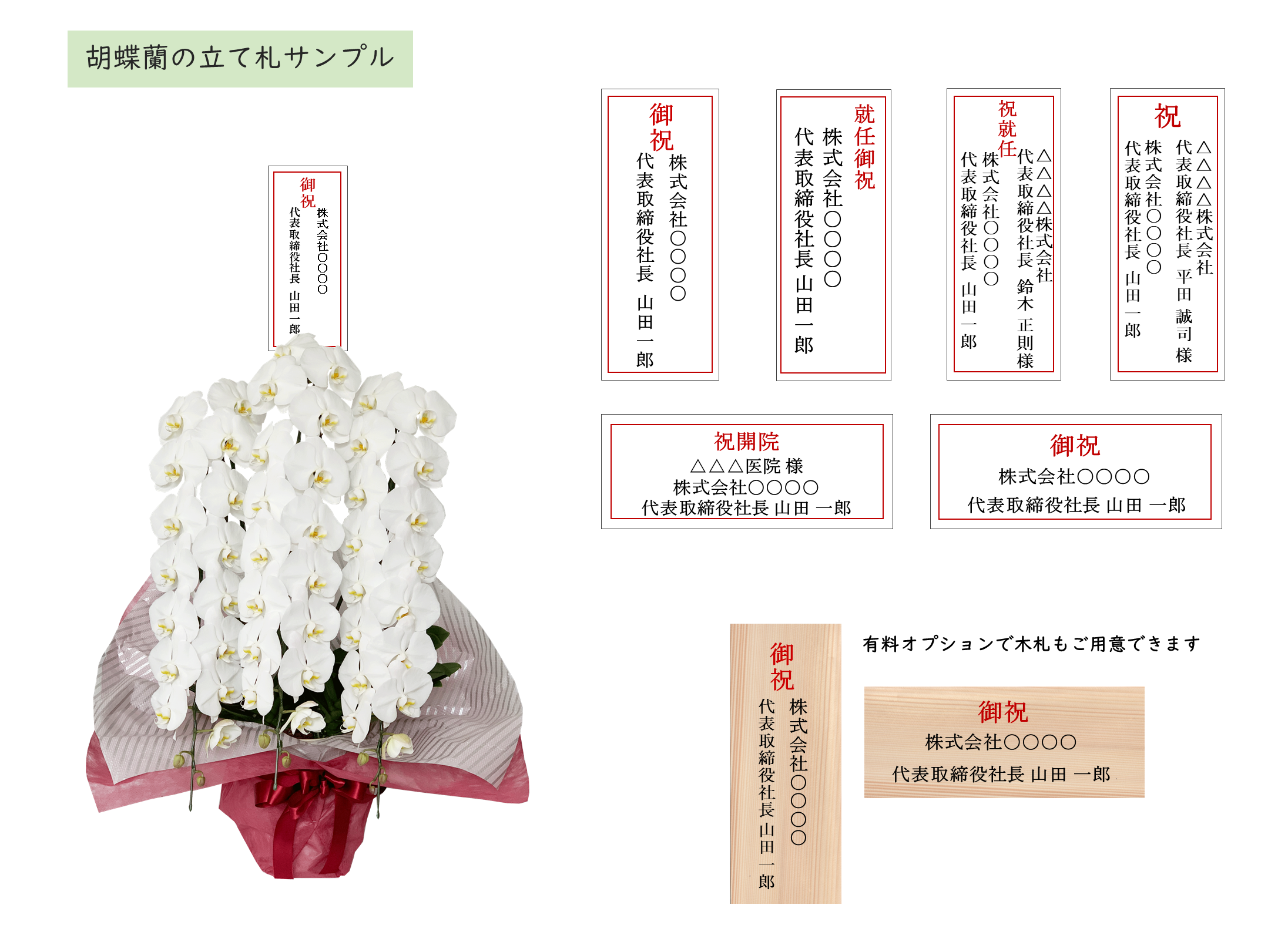 胡蝶蘭〈白・3本立ち〉