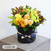 アレンジメント【ラウンドタイプ・XLサイズ】リクエスト可能