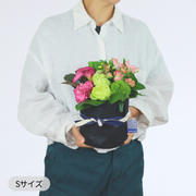 アレンジメント【ラウンドタイプ・Sサイズ】リクエスト可能