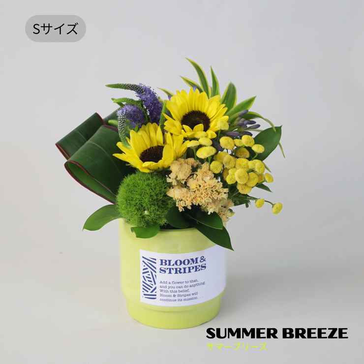 夏 アレンジメント 父の日 お中元｜上品な花ギフトならBLOOM&STRIPES