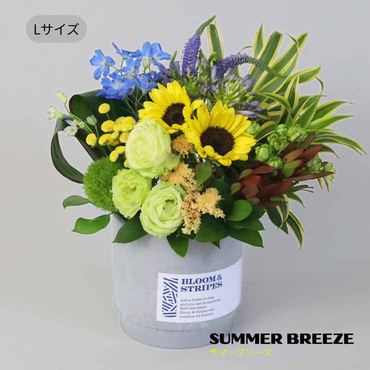 フラワーアレジメント　summer 夏 アレンジメント 父の日 お中元｜上品な花ギフトならBLOOM&STRIPES