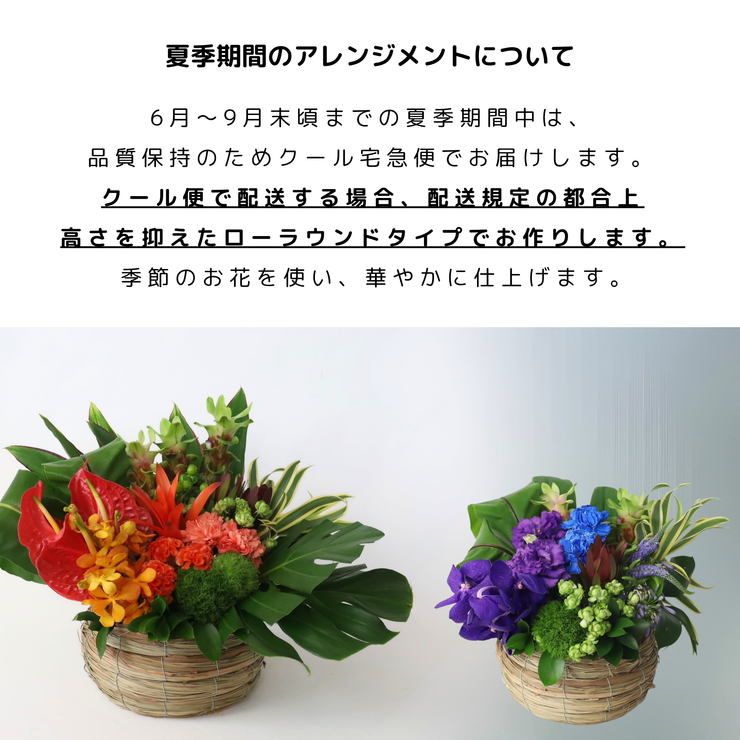 夏 アレンジメント 父の日 お中元|上品な花ギフトならBLOOM&STRIPES 夏 アレンジメント 父の日 お中元|上品な花ギフトならBLOOM&STRIPES