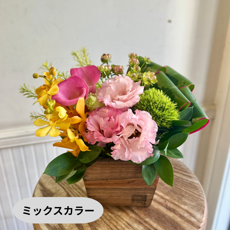 アレンジメント【ラウンドタイプ・Sサイズ】リクエスト可能