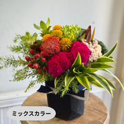 アレンジメント【ラウンドタイプ・Mサイズ】リクエスト可能