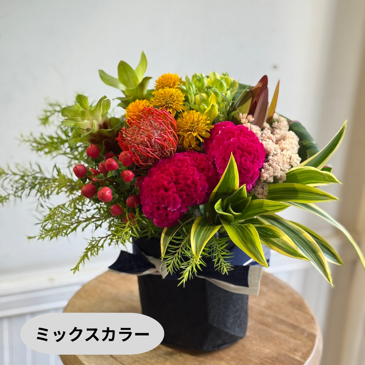 アレンジメント【ラウンドタイプ・Mサイズ】リクエスト可能