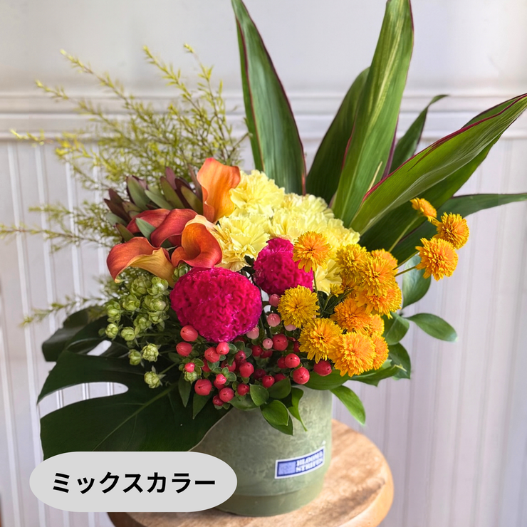 アレンジメント【ラウンドタイプ・2XLサイズ】リクエスト可能