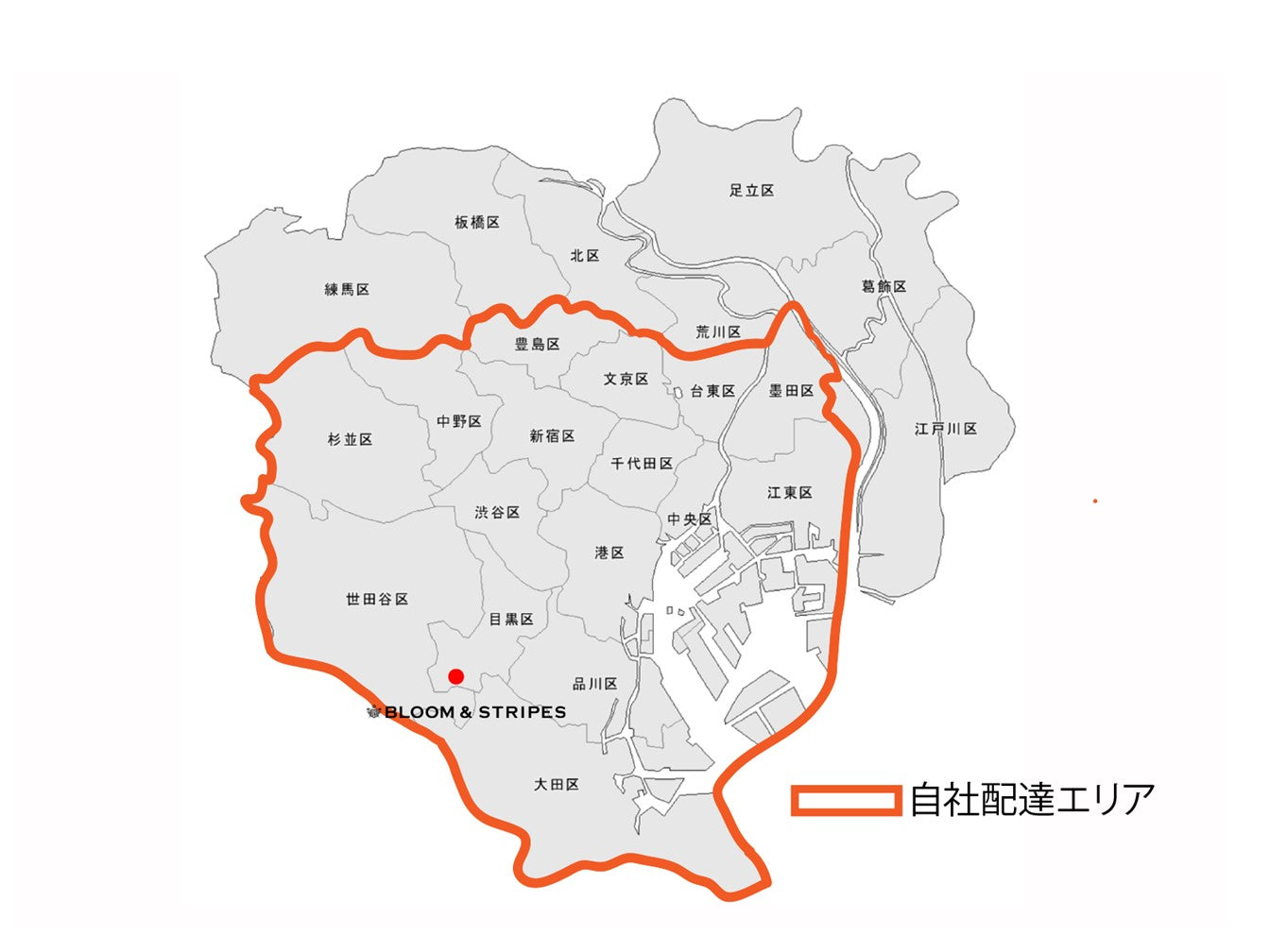 胡蝶蘭〈白・3本立ち〉